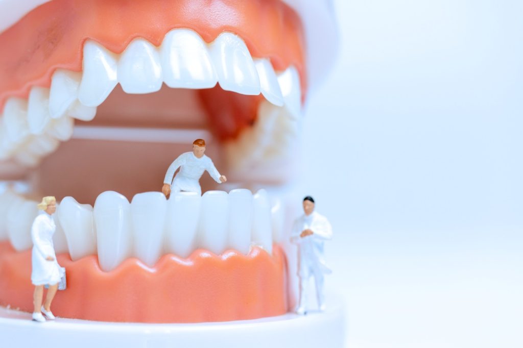 Miniature figurines and a human mouth model